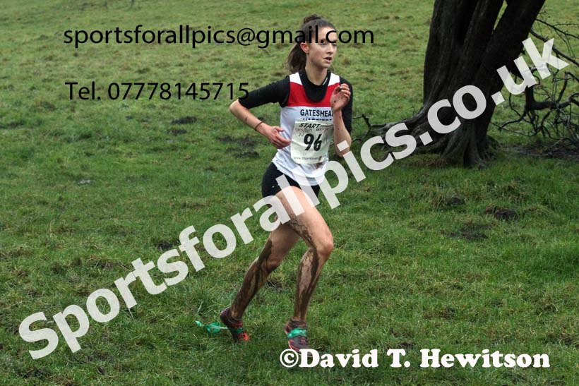 Womens under-17s and under-20s, NECAA Junior Cross Country Relays, Thornley Farm, Peterlee, Saturday, December 12th. Photo: David T. Hewitson/Sports for All Pics